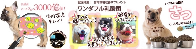 �����_�t�����_�ۃ��������p�T�v�������g���T�C�g